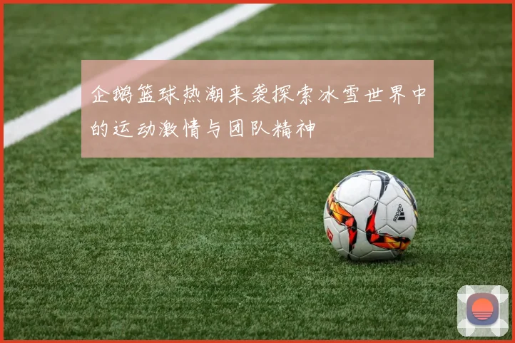 企鹅篮球热潮来袭探索冰雪世界中的运动激情与团队精神