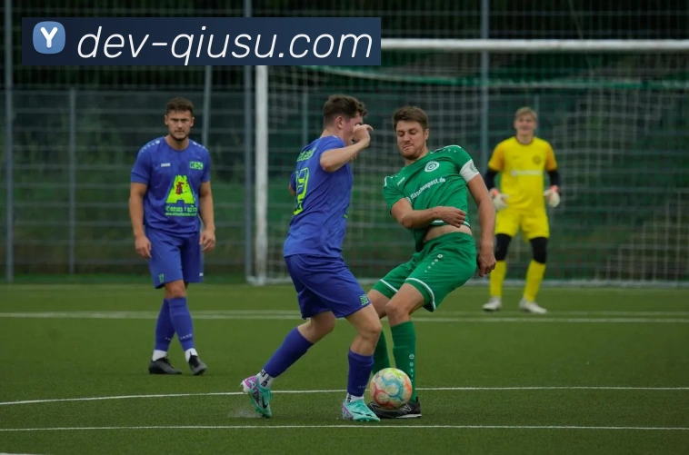 多媒体互动体验